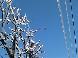 冬天,雪,冷