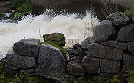 水,河,白色水