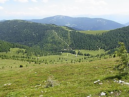 山,草地,字段