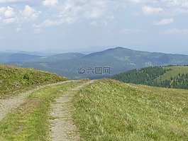 山,字段,高山花卉