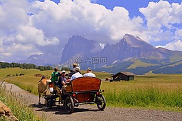 馬,車篷,號車廂
