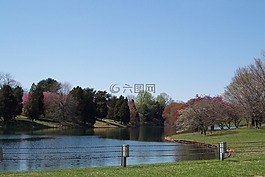 池,公園,平靜