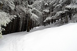 冬天,現(xiàn)場,山