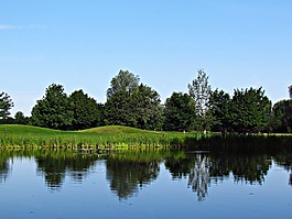 水,池塘,景觀