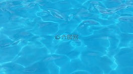 海,水,大自然