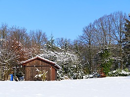 冬天,雪,寒冬