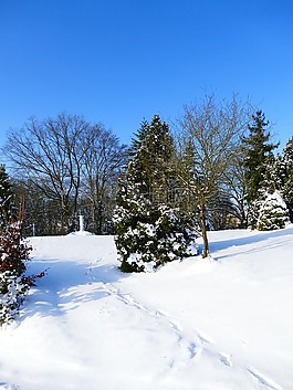 冬天,雪,寒冬