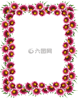 幀,邊境,太陽(yáng)雛菊