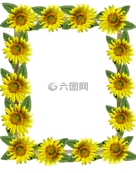 幀,邊境,向日葵