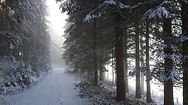 冬天,景觀,光