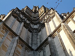 建設(shè),教會(huì),鳥類