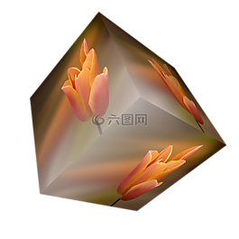 多維數(shù)據(jù)集,花,郁金香