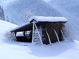 冬天,白,hayrack