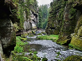 在 hřensko 中的三峡,波希米亚瑞士,峡谷
