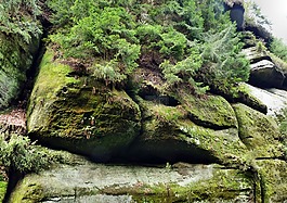 两个猴子,砂石,岩