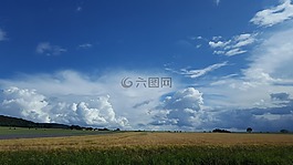 性質(zhì),字段,樹