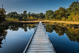 maasduinen,荷蘭,水