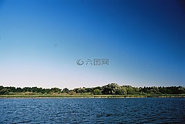 太陽,湖,蘆葦