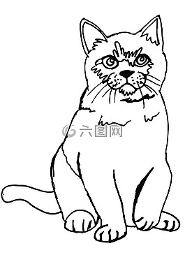猫,蓬松,着色页