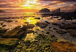 日出,海灘,海