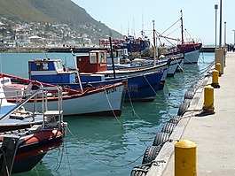 海港,漁船,碼頭