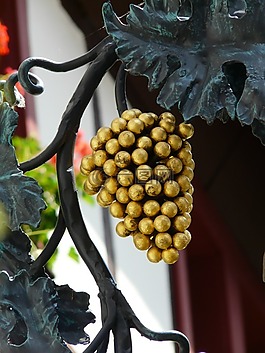 葡萄,gasthof,盾