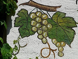 壁畫,繪畫,葡萄