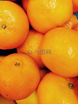 普通話,水果,柑橘類水果