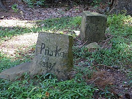 狗,動(dòng)物,墳?zāi)?/>
                            </a>
                            <div   id=