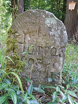狗,動(dòng)物,墳?zāi)?/>
                            </a>
                            <div   id=