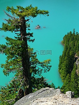 綠松石,羅斯湖,華盛頓州