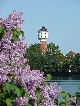 水塔,春天,湖