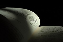 本書,頁,文本