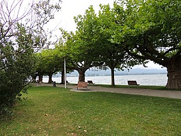 景觀(guān),湖,博登湖