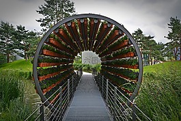 橋,氣味,隧道