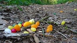復(fù)活節(jié),復(fù)活節(jié)彩蛋,森林