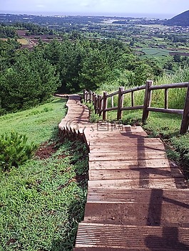 奧勒,olle 鰓,濟州