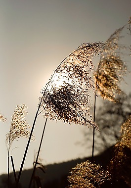 太陽(yáng),abendstimmung,浪漫