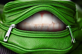 袋,郵編,牙