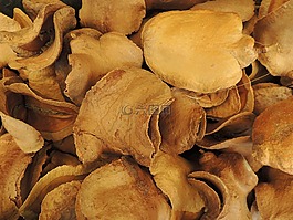 梨皮,干,吠