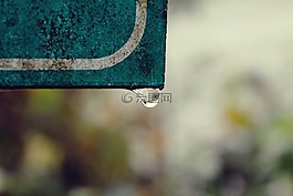 盾,滴,露珠