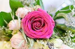 婚禮,花束,充滿活力