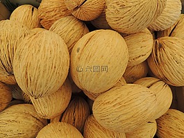 羊毛螺母,乒乓球,種子