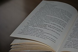 書,文學,頁面