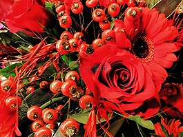 花,玫瑰,雛菊