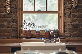 大蒜,仙人掌,窗口