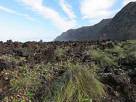 石,火山,巖漿