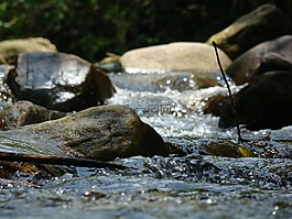 水,運(yùn)動(dòng),水滴