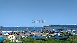 海灘,海灣,海龜