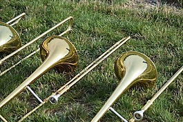 音樂,樂器,牛角